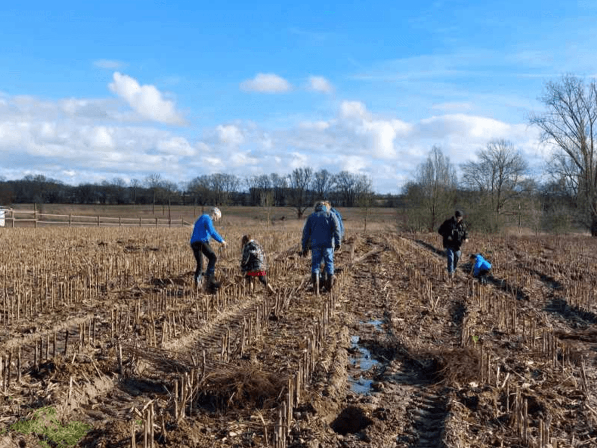 Tienen. Vrijwilligers planten de voormalige maïsakker aan langs de Spoorwegzate in Tienen